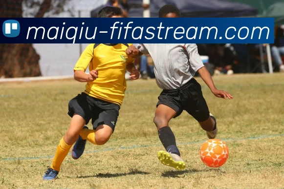 世界杯买球网站APP 封面图